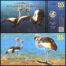 Atlantic Forest Floresta Atlântica 25 Aves 2016 Fe Fantasia
