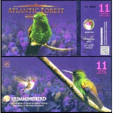Atlantic Forest Floresta Atlântica 11 Aves 2015 Fe Fantasia
