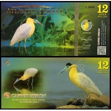 Atlantic Forest Floresta Atlântica 12 Aves 2015 Fe Fantasia