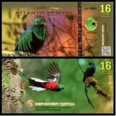 Atlantic Forest Floresta Atlântica 16 Aves 2016 Fe Fantasia