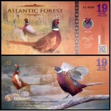 Atlantic Forest Floresta Atlântica 19 Aves 2016 Fe Fantasia