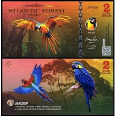 Atlantic Forest Floresta Atlântica 2 Aves 2016 Reestilizada Fe Fantasia