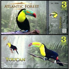 Atlantic Forest Floresta Atlântica 3 Aves 2015 Fe Fantasia