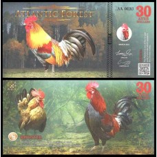 Atlantic Forest Floresta Atlântica 30 Aves 2016 Fe Fantasia