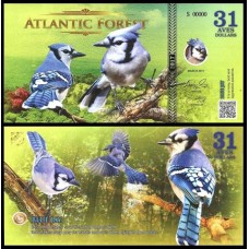 Atlantic Forest Floresta Atlântica 31 Aves 2016 Fe Fantasia