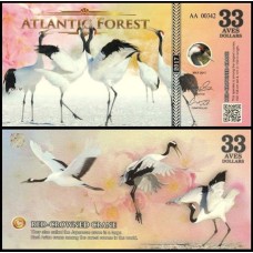 Atlantic Forest Floresta Atlântica 33 Aves 2017 Fe Fantasia