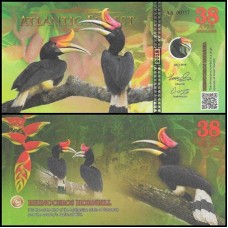 Atlantic Forest Floresta Atlântica 38 Aves 2018 Fe Fantasia