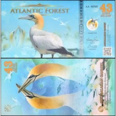 Atlantic Forest Floresta Atlântica 43 Aves 2019 Fe Fantasia