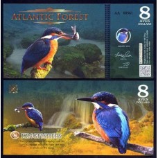 Atlantic Forest Floresta Atlântica 8 Aves 2015 Fe Fantasia