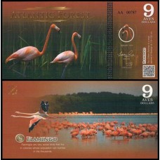 Atlantic Forest Floresta Atlântica 9 Aves 2015 Fe Fantasia