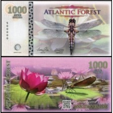 Atlantic Forest Floresta Atlântica 1.000 Aves 2016 Fe Fantasia