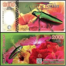 Atlantic Forest Floresta Atlântica 2.000 Aves 2016 Fe Fantasia