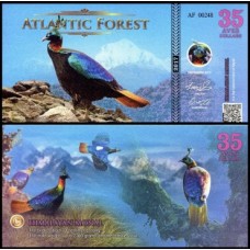 Atlantic Forest Floresta Atlântica 35 Aves 2017 Fe Fantasia