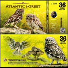 Atlantic Forest Floresta Atlântica 36 Aves 2017 Fe Fantasia