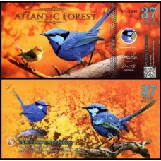 Atlantic Forest Floresta Atlântica 37 Aves 2017 Fe Fantasia