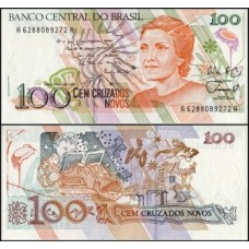 Brasil C-206 Fe 100 Cruzados Novos 1989 Cecília Meireles