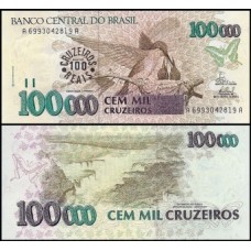 Brasil C-235 Fe 100 Cruzeiros Reais 1993 Beija Flor