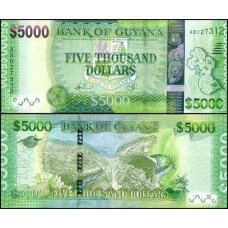 Guyana Guiana P-40a Fe 5.000 Dollars ND (2013)