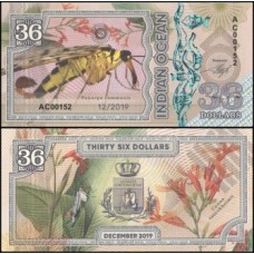Indian Ocean 36 Dollars 2019 Fe Fantasia