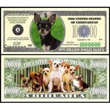 Usa Estados Unidos Md-69 Fe 1 Milhão de Dollars Fantasia Chihuahua