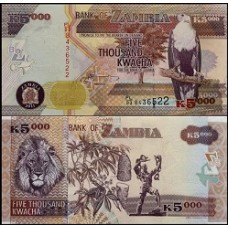 Zâmbia P-45g Fe 5.000 Kwacha 2011