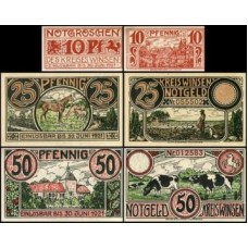 Germany Alemanha L-1397 Winsen a. d. Luhe S/Fe 3 Notgelds 1921