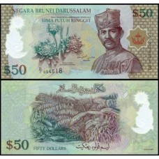 Brunei P-28 Fe 50 Ringgit 2004 Polímero
